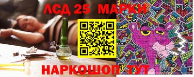 МДПВ Камышлов