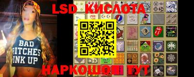 прущие грибы Канаш