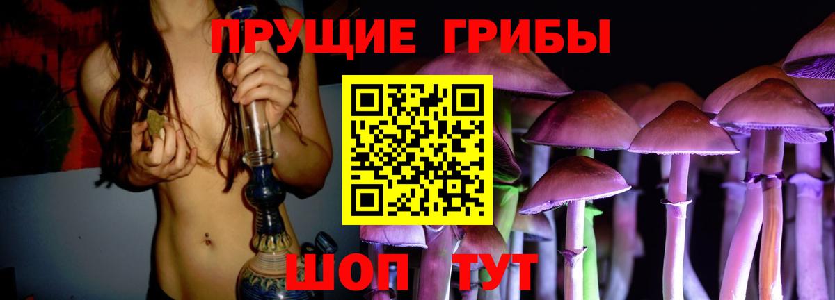 Галлюциногенные грибы Psilocybine cubensis  Псилоцибиновые грибы мицелий  Тамбов  продажа наркотиков  Вход с VPN 